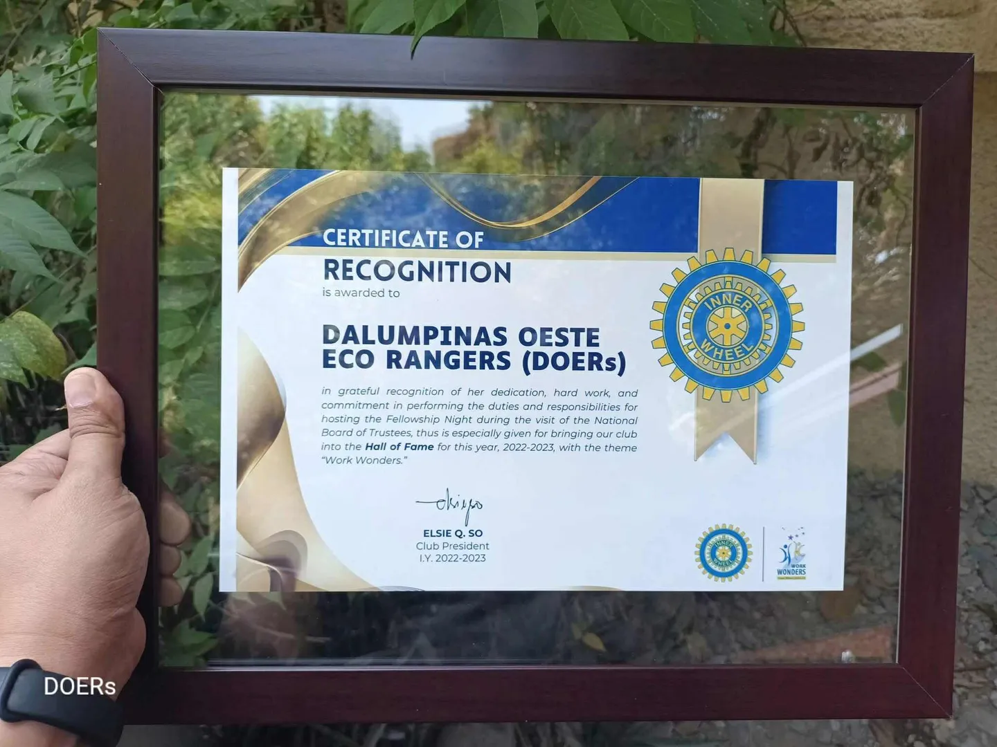 Inner Wheel recognition — recognition record