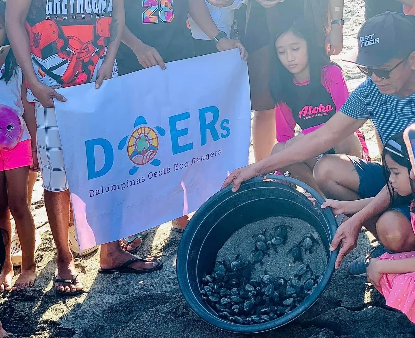 Turtle Patrol & Releasing